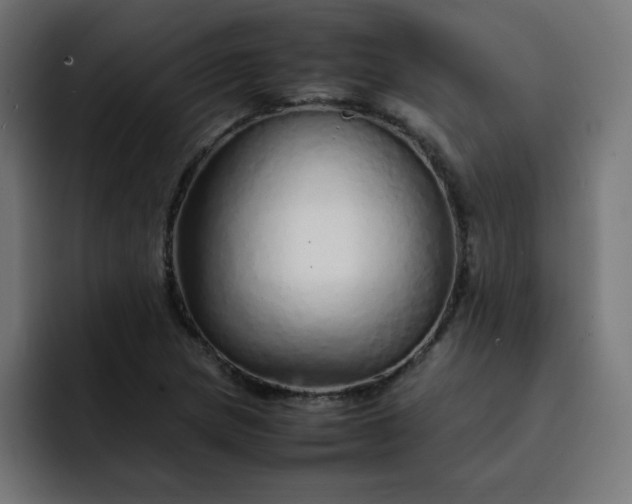 X0000093151217200710101129