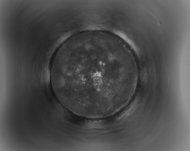 X0000093151221200710101129