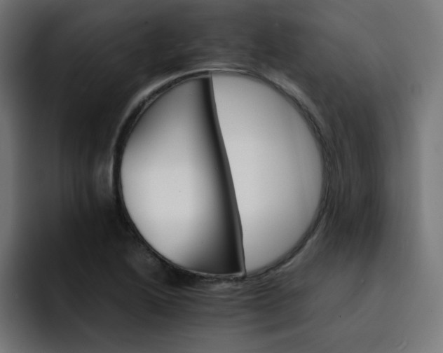 X0000093151222200710101129