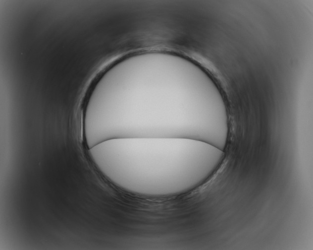 X0000093151223200710101129