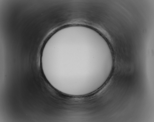 X0000093151224200710101129