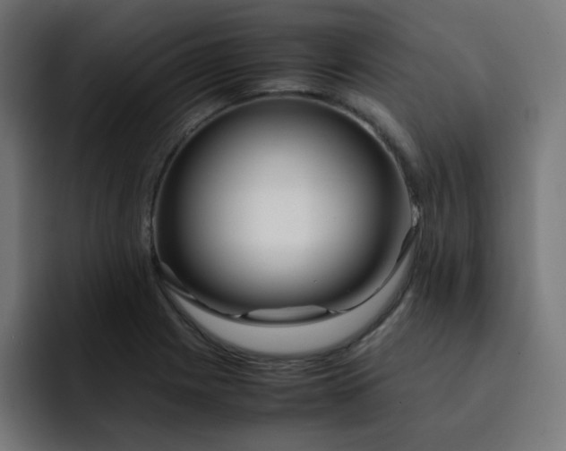 X0000093151225200710101129