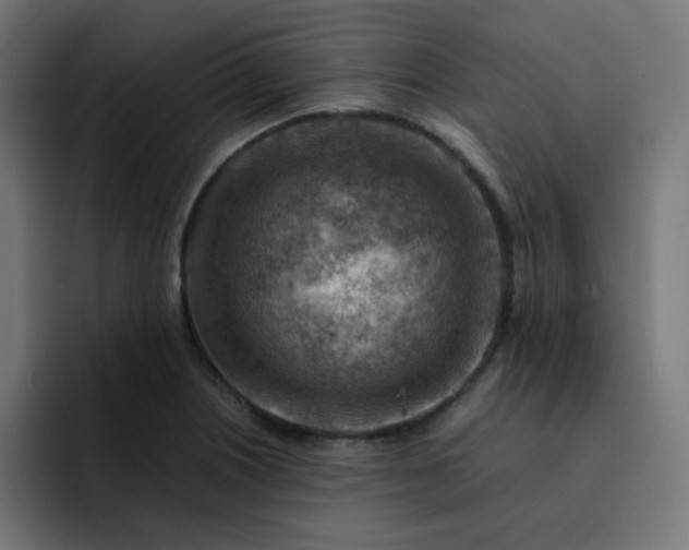 X0000093151226200710101129