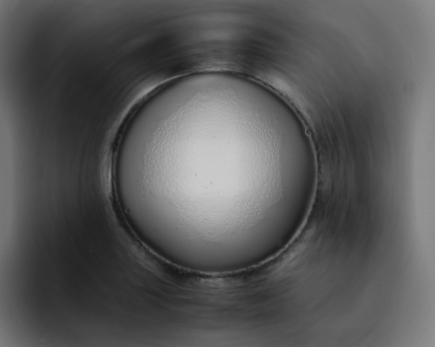 X0000093151227200710101129