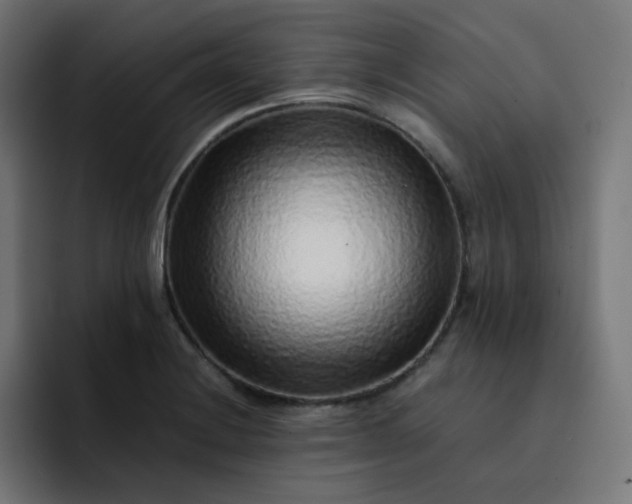 X0000093151228200710101129