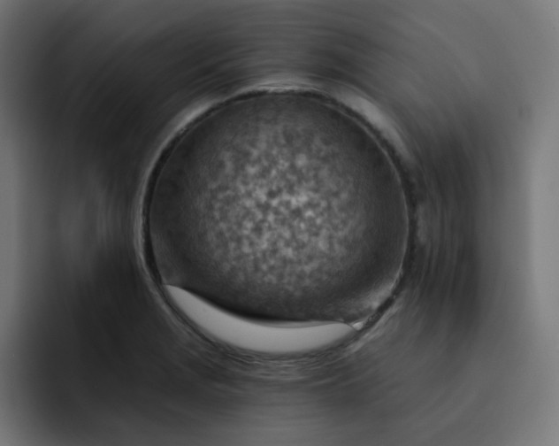 X0000093151229200710101129