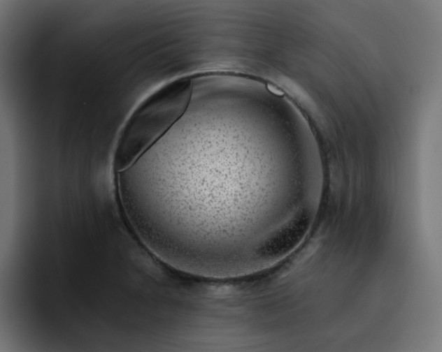 X0000093151230200710101129