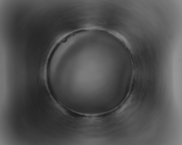 X0000093151231200710101129