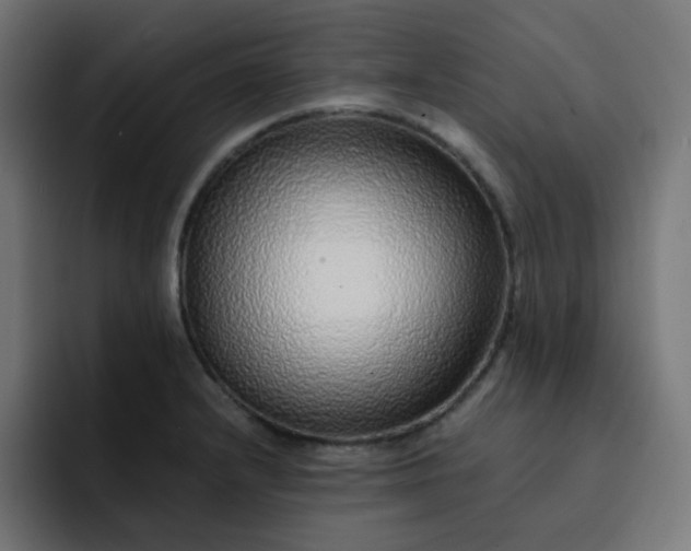 X0000093151232200710101129