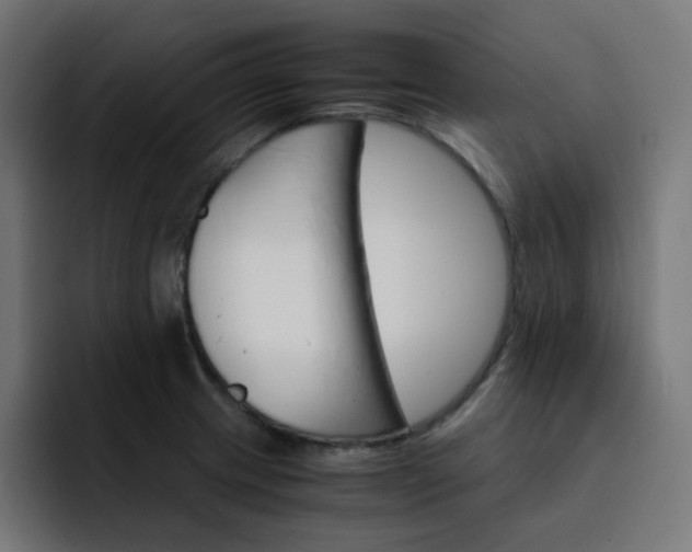 X0000093151233200710101129