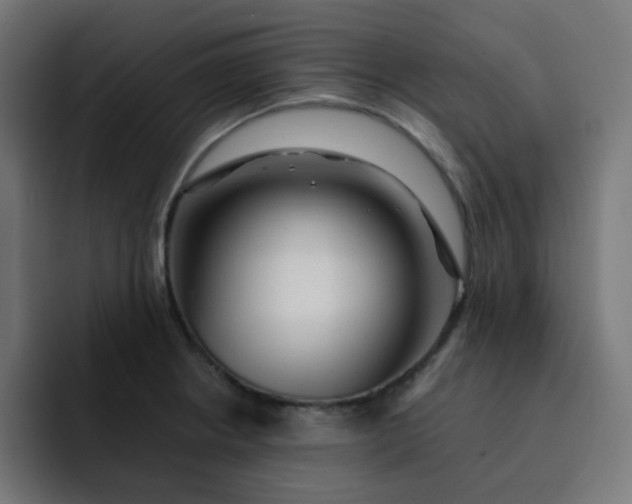 X0000093151234200710101129
