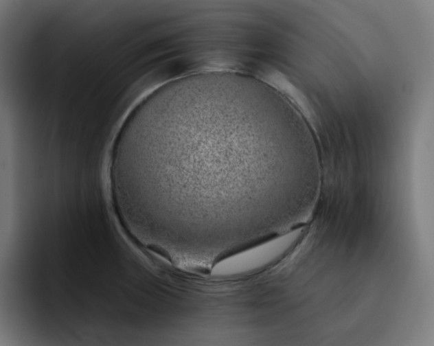 X0000093151235200710101129