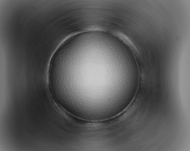 X0000093151236200710101129