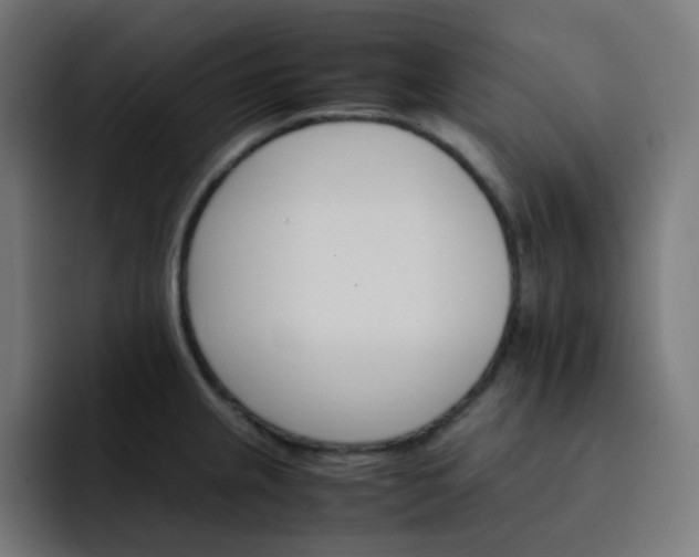 X0000093151237200710101129
