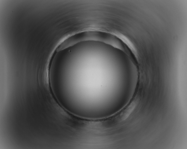 X0000093151238200710101129