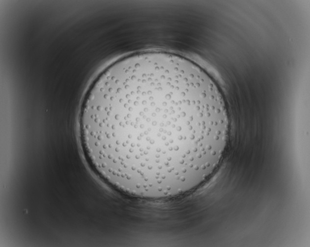 X0000093151239200710101130