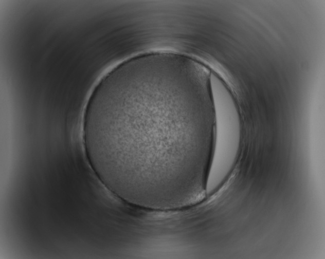 X0000093151240200710101130