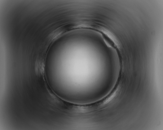 X0000093151241200710101130