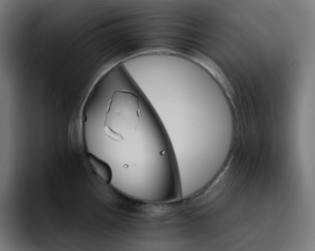 X0000093151242200710101130