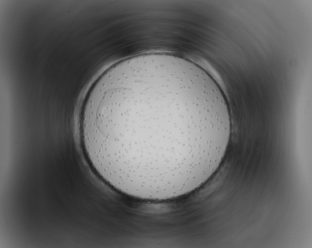 X0000093151243200710101130