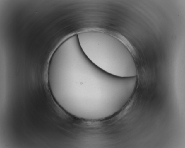 X0000093151244200710101130