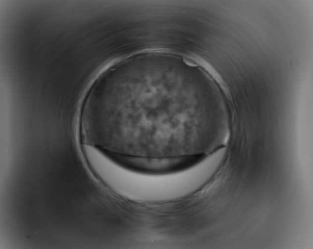 X0000093151245200710101130