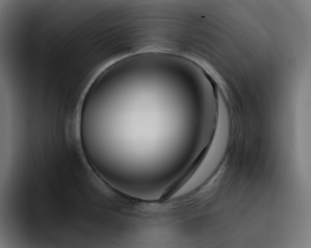 X0000093151246200710101130