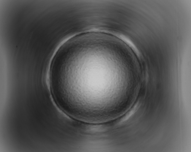 X0000093151247200710101130