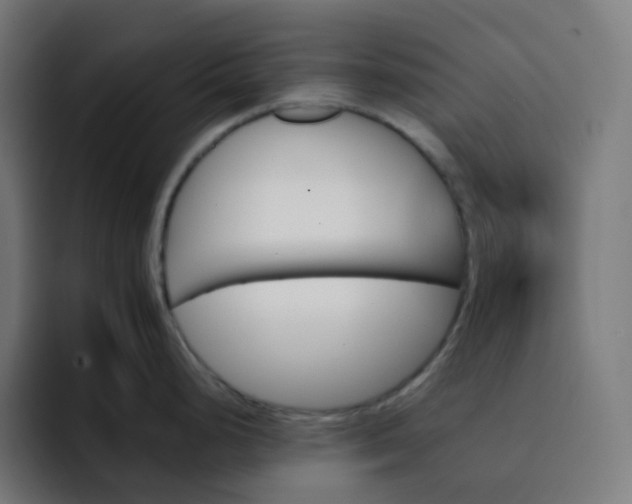 X0000093151248200710101130