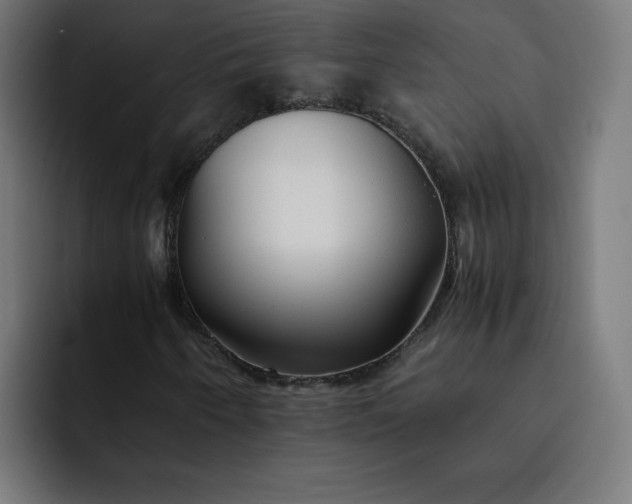 X0000093151250200710101129