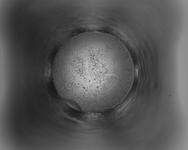 X0000093151251200710101129