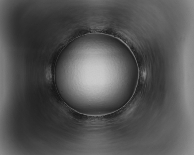 X0000093151252200710101129