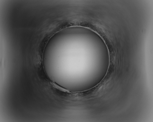 X0000093151253200710101129