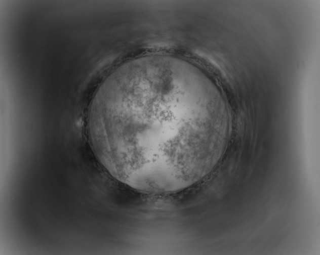 X0000093151254200710101129