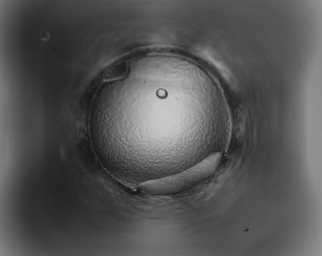 X0000093151255200710101129
