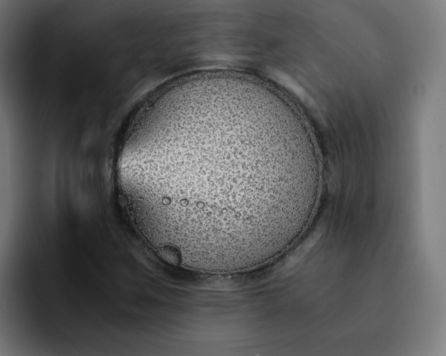X0000093151259200710101129