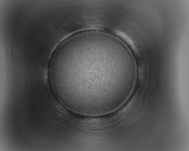 X0000093151260200710101129