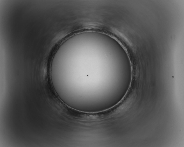 X0000093151261200710101129