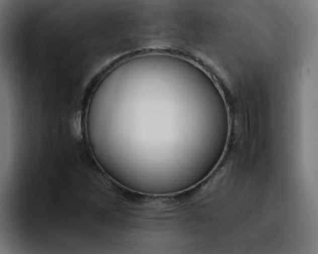 X0000093151262200710101129