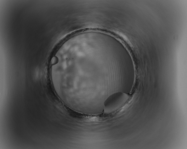 X0000093151263200710101129