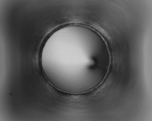 X0000093151264200710101129