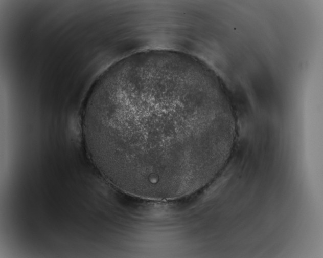 X0000093151266200710101129