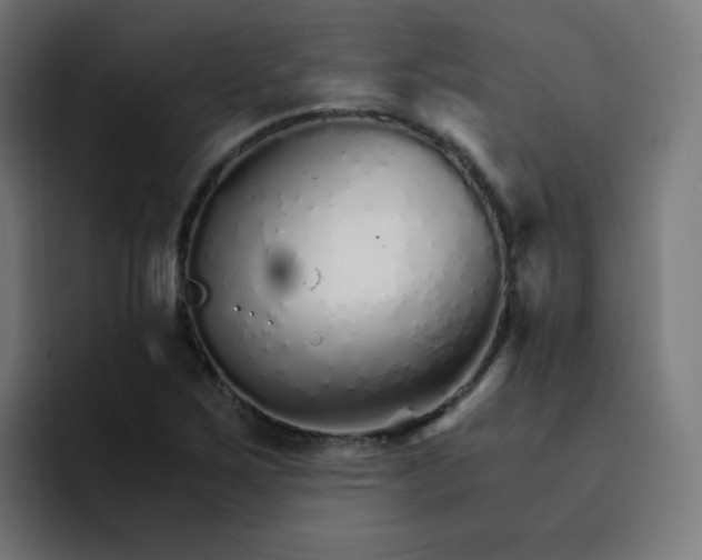 X0000093151267200710101129