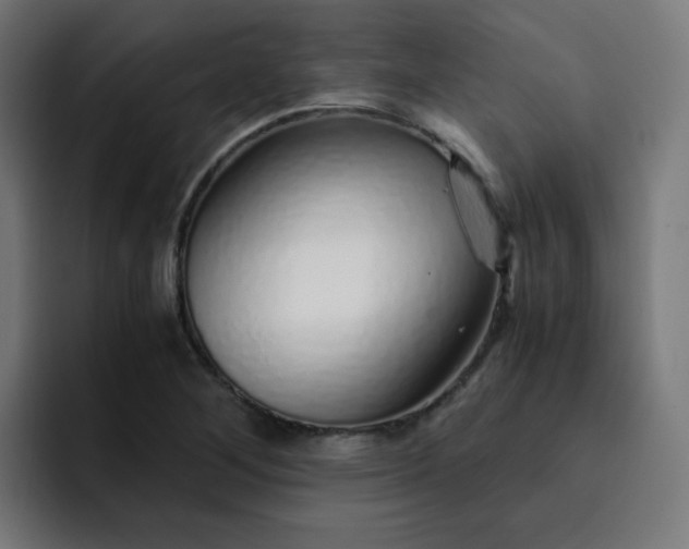 X0000093151268200710101129