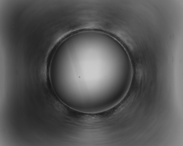 X0000093151270200710101129