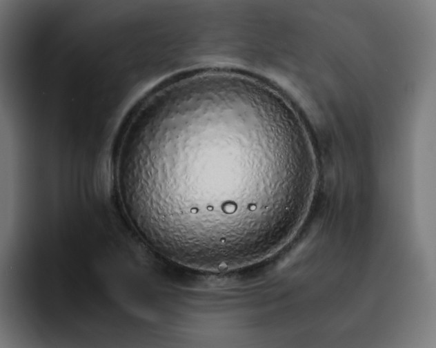 X0000093151271200710101129