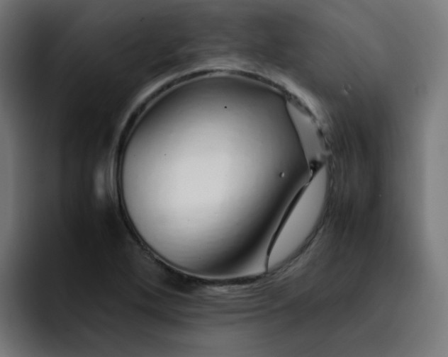 X0000093151272200710101129