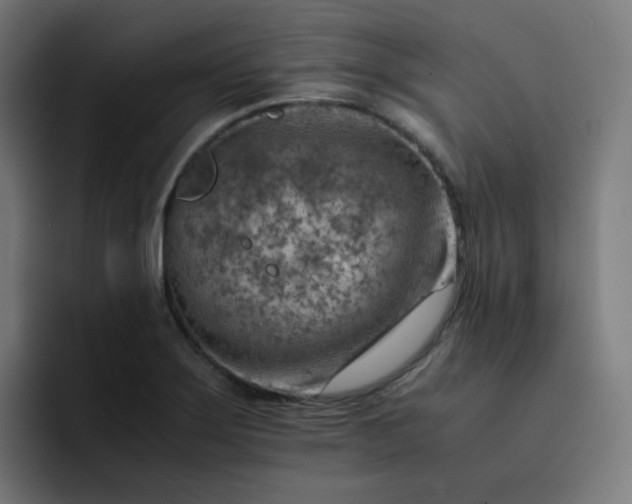 X0000093151275200710101129
