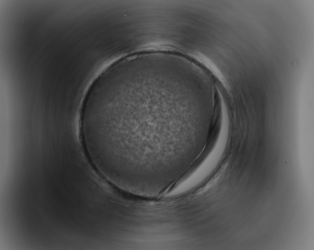 X0000093151277200710101129