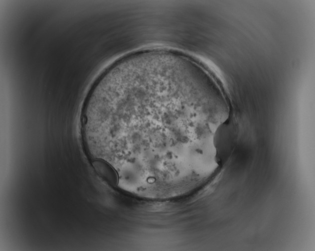 X0000093151279200710101129